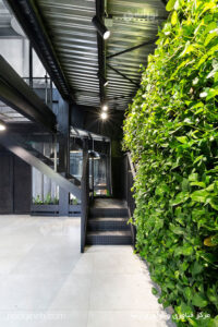 Nooraneh lighting-project-rasa-ringo