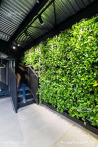 Nooraneh lighting-project-rasa-ringo