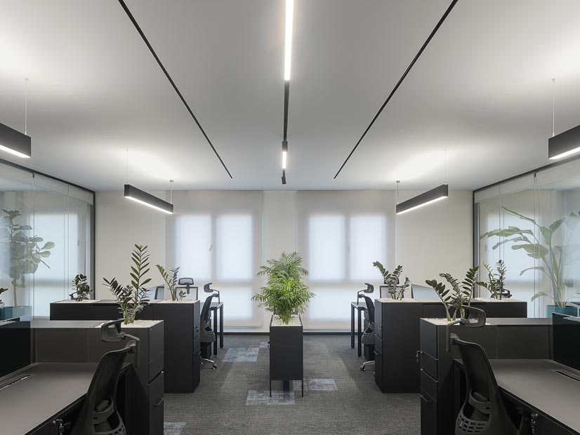 نماد-تجارت-شالی-کاور